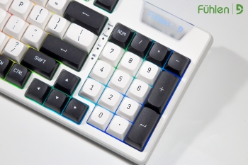 Fuhlen H95s Panda CSA White